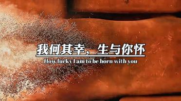 方程式飙车