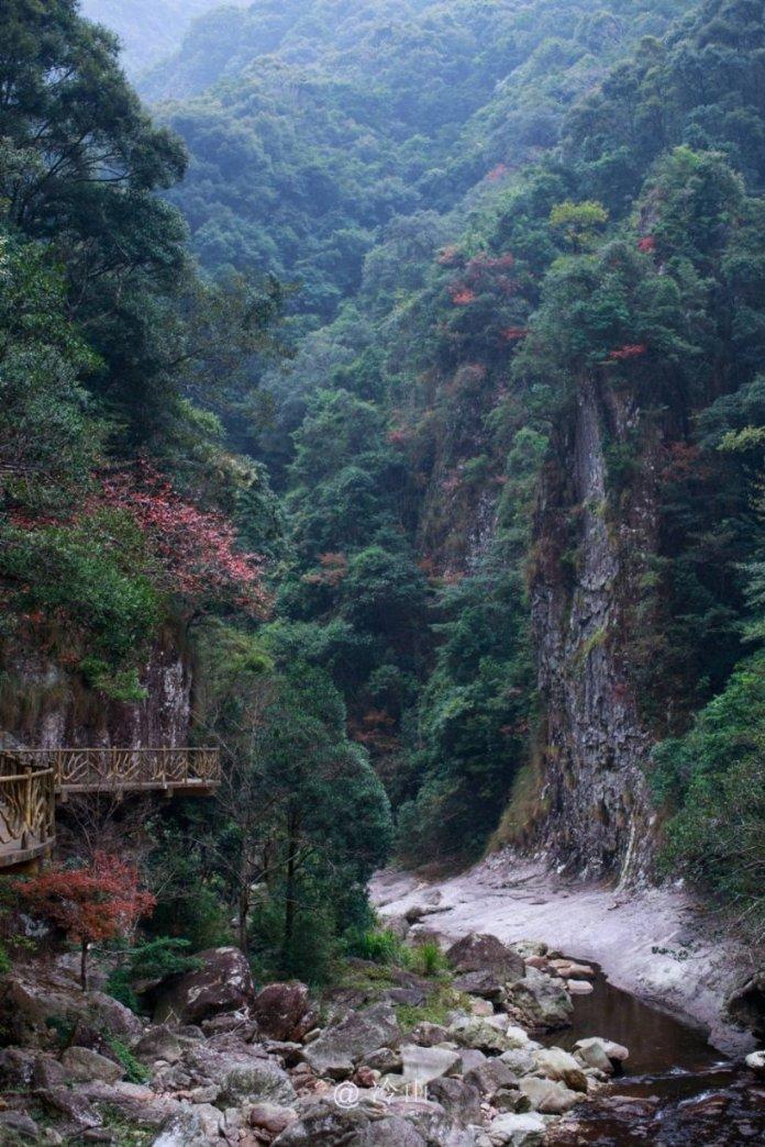 逃离沙丘